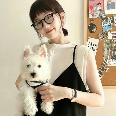 火线第三季